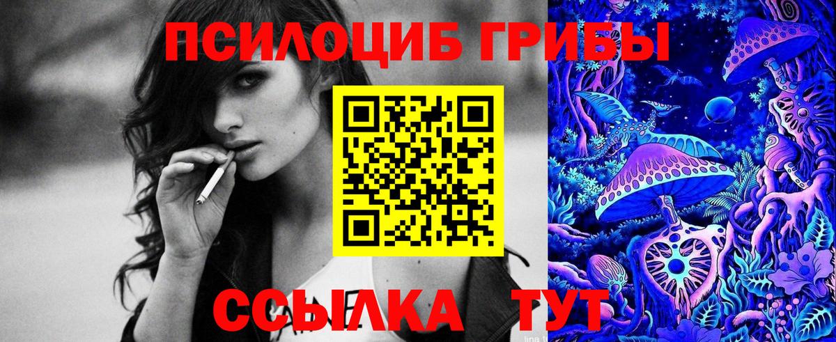 Галлюциногенные грибы MAGIC MUSHROOMS  Вход с VPN  Донской 