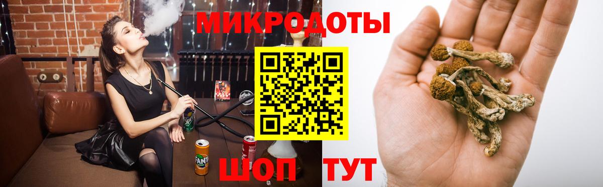 Псилоцибиновые грибы прущие грибы Донской